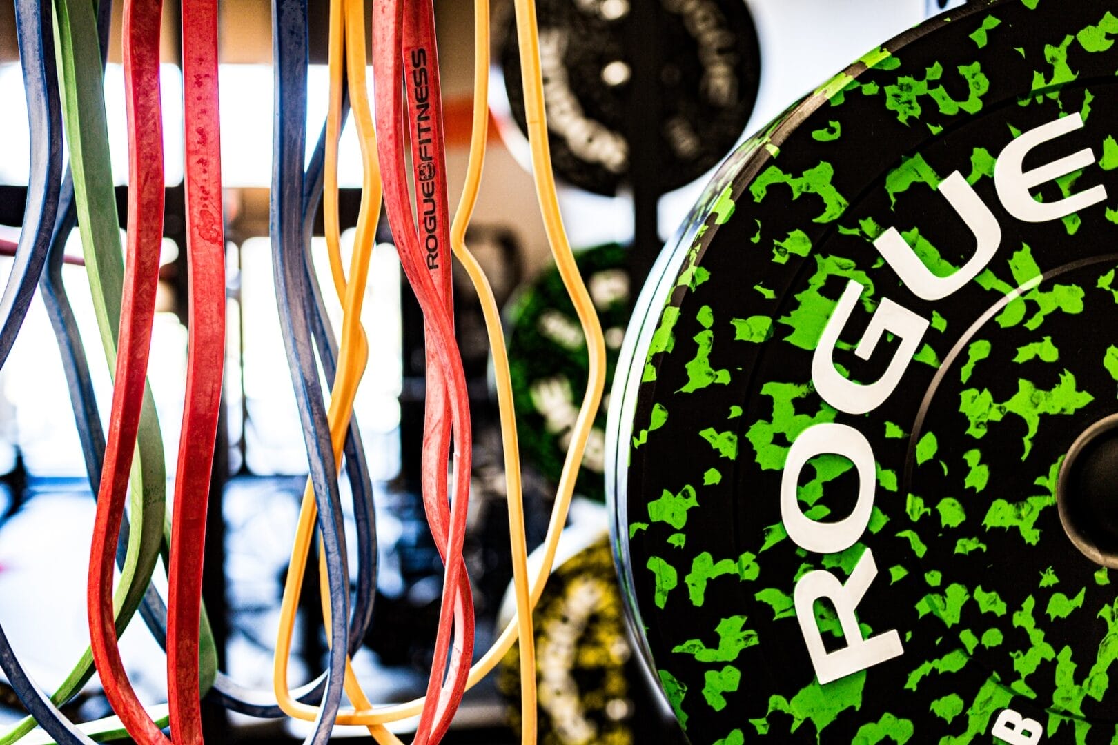 Rogue bumper plates and elastic bands at studio fit u