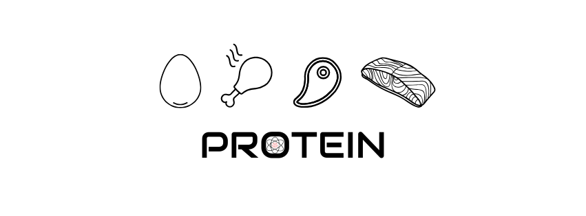 Protein written in bold letters with the Studio Fit U Logo in the O